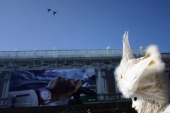 32_giant-advertising-marciana-library-venice_rolex